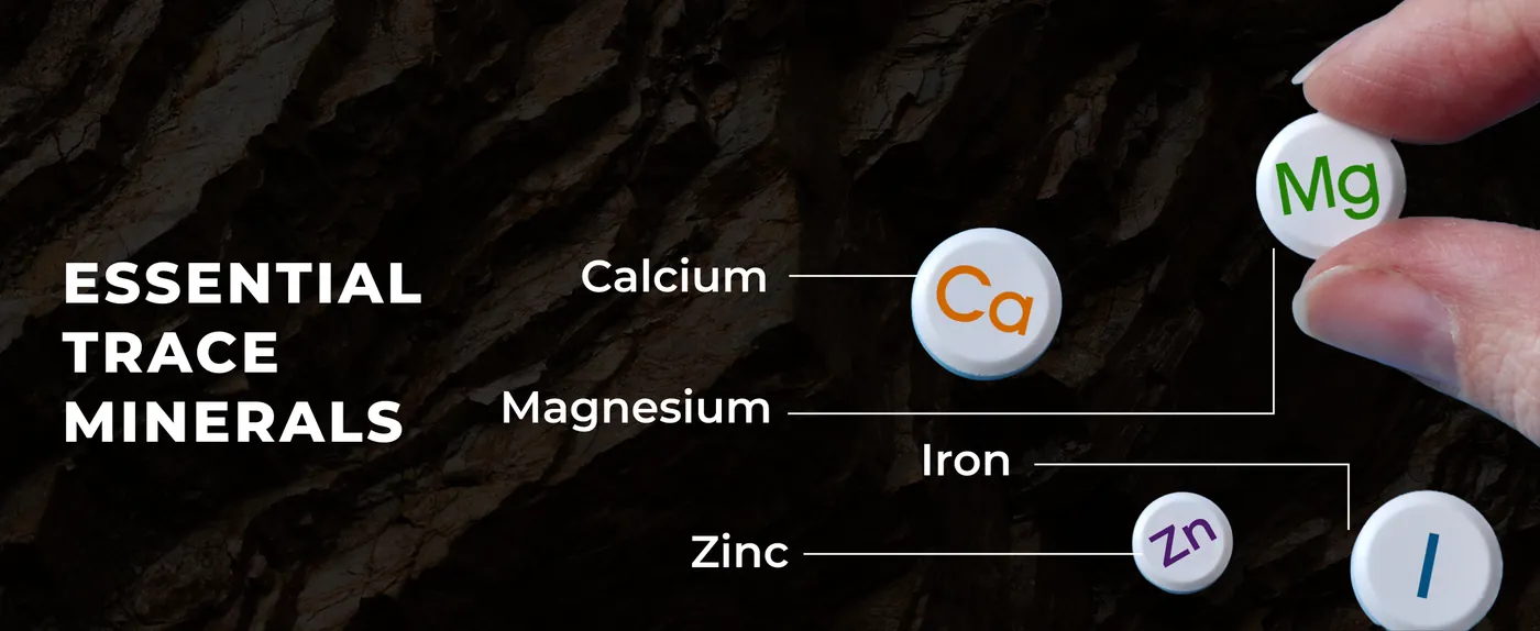 Shilajit Resin A+ Desktop Banner 4